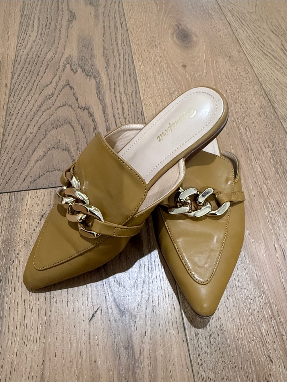 Pointed Toe Mule with Gold Chain Accent Cognac size 7